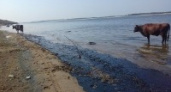 В Волгограде установлен размер ущерба из-за разлива нефти на Волге