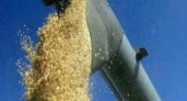 Аграрии Волгоградской области намолотили более 3,5 миллионов тонн зерна
