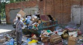 Из Волгограда вывезут и утилизируют весь мусор