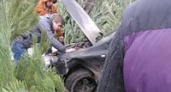 В Волгограде иномарка въехала в елочный базар