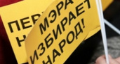 Волгоградцы хотят вернуть прямые выборы мэра