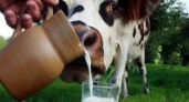 Волгоградцам предложат продегустировать молочную продукции