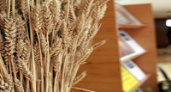 «Каравай мира» пополнился зерном из Турции