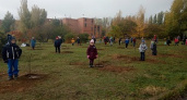 Волгоградские первоклашки высадили «Аллею дружбы»