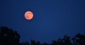 Завтра волгоградцы смогут увидеть суперлуние