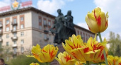 На праздники Волгоград украсили 30 тысяч цветов