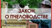 В Волгоградской области появится День пчеловода