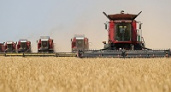 В Волгоградской области собрали уже более 1,8 млн тонн зерна