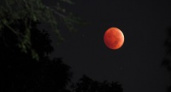 В России сегодня взойдет «кровавая луна»