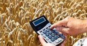 Аграриям предложили выделить 5 миллиардов на субсидии