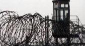 Волгоградских заключенных обвиняют в избиении сотрудников колонии