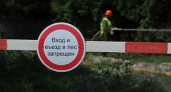 Запрет на посещение лесов продлили и в сентябре