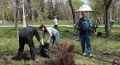 Волгоградцев приглашают на всероссийский субботник