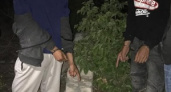 Двух волгоградцев задержали с 19-ю свертками наркотиков