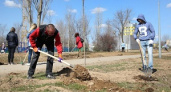 В Волгограде состоится общегородской субботник