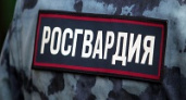 Росгвардии разрешили останавливать автомобили для проверки
