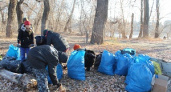 Волгоградцы провели за осень более 30 субботников