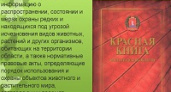 Волгоградская прокуратура закрыла 19 сайтов о продаже животных и рыб