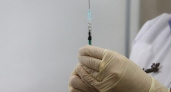 Россия готовится к массовой вакцинации от кори