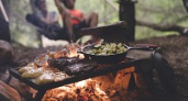 Чиновники одумались и ищут варианты, как позволить народу шашлыки на природе