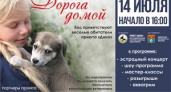 В Волгограде пройдет ярмарка животных «Дорога домой»
