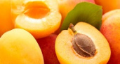 Медики считают абрикос самым полезным фруктом