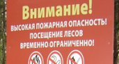В Волгоградской области запретили поездки в лес до 29 августа