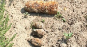 В Волгограде рядом с пляжем нашли снаряды времен войны