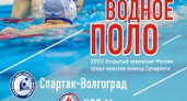 Сегодня в Волгограде стартует чемпионат России по водному поло