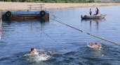 В регионе стало меньше несчастных случаев на воде