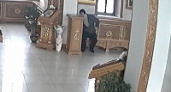 Волжанин украл деньги из храма