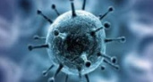 Выяснилось, кто наименее подвержен коронавирусу