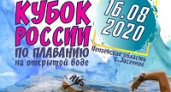 Семеро волгоградских пловцов отправятся на Кубок России