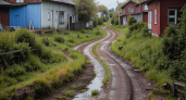 СК РФ заинтересовался проблемой дороги к дачным участкам в Волгоградской области