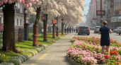 На улице Гоголя в Волгограде высадят сакуры: что еще изменится в центре города