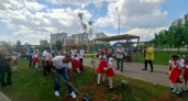 Волгоград украсили новые деревья: «Сад памяти» завершился в Дзержинском районе