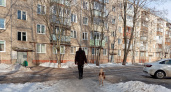 Касается всех, кто живет в квартире или доме – теперь это запрещено делать с 8:00 до 23:00