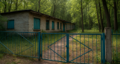 Волгоград может потерять «Птичий остров» — волонтеры просят отдать им заброшенный лагерь
