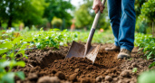 После 27 мая всегда закапываю тряпку на огороде — странный, но рабочий метод от французских фермеров