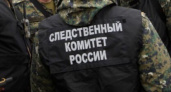 Александр Бастрыкин поможет призвать к ответственности дебошира из Волгограда