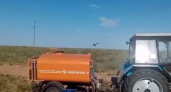Волгоградская область начала бороться с саранчой: первые пастбища уже обработали