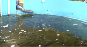 В Волгограде в автосервисе нашли подпольный рыбный цех: осетров на 10 миллионов выращивали в бассейнах