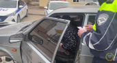 Сотрудники ГАИ в июле будут штрафовать всех на 1500 рублей: россияне об этой "фишке" почему-то забывают