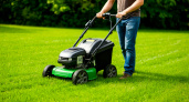 "Да брось ты эту газонокосилку есть более лёгкий способ": почему в Англии перестали косить газоны, а в России только пришли к этому
