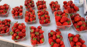 Купили клубнику — а она безвкусная: вот почему ягоды и фрукты могут быть "пластиковыми" на вкус - ответили в Роскачестве