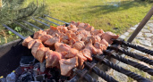 2 пригоршни на угли — и шашлык нежнее сливочного масла: мясо тает во рту с любым маринадом