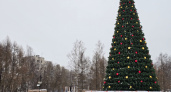 Власти Средней Ахтубы в разгар лета решили купить новогоднюю ёлку