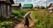 Прожили 3 года в деревне — и только потом поняли, что люди зарабатывают не сельским хозяйством — в чем секрет