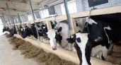 Волгоградцы снова отправили продукцию в Казахстан
