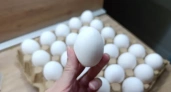 Купил яйца за 69 рублей в «Чижике» — проверил вес, свежесть и вкус, рассказываю честно